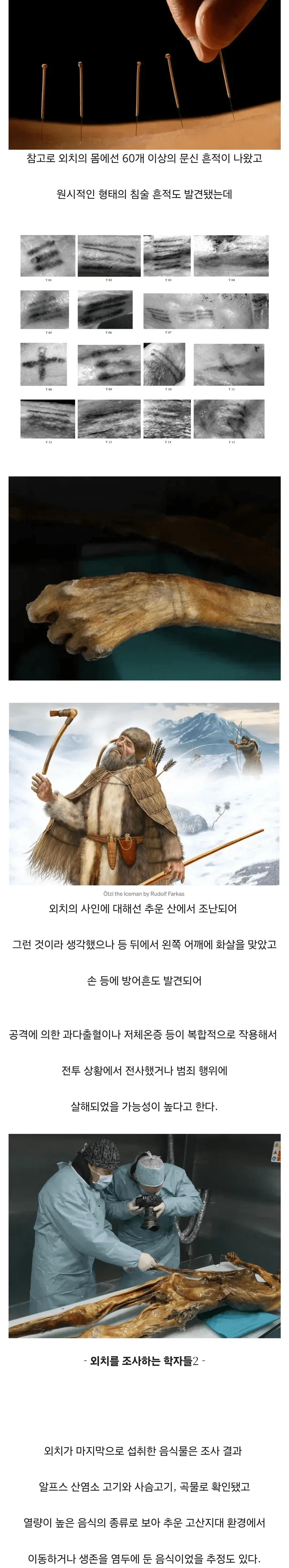 혐?)얼음 속에서 5000년 넘게 잠들어 있던 미라 이야기
