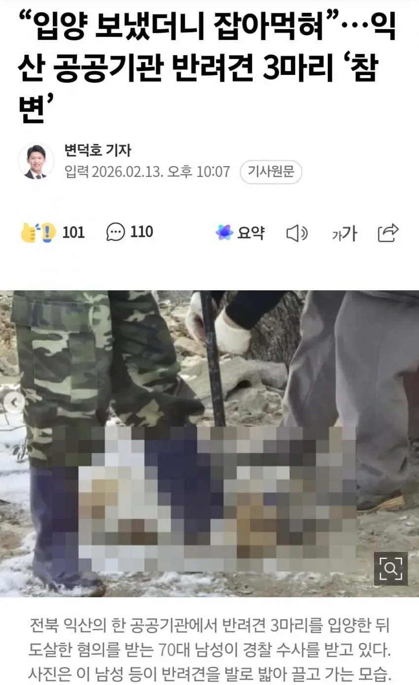 약혐) 반려견 3마리를 분양받았던 70대 노인