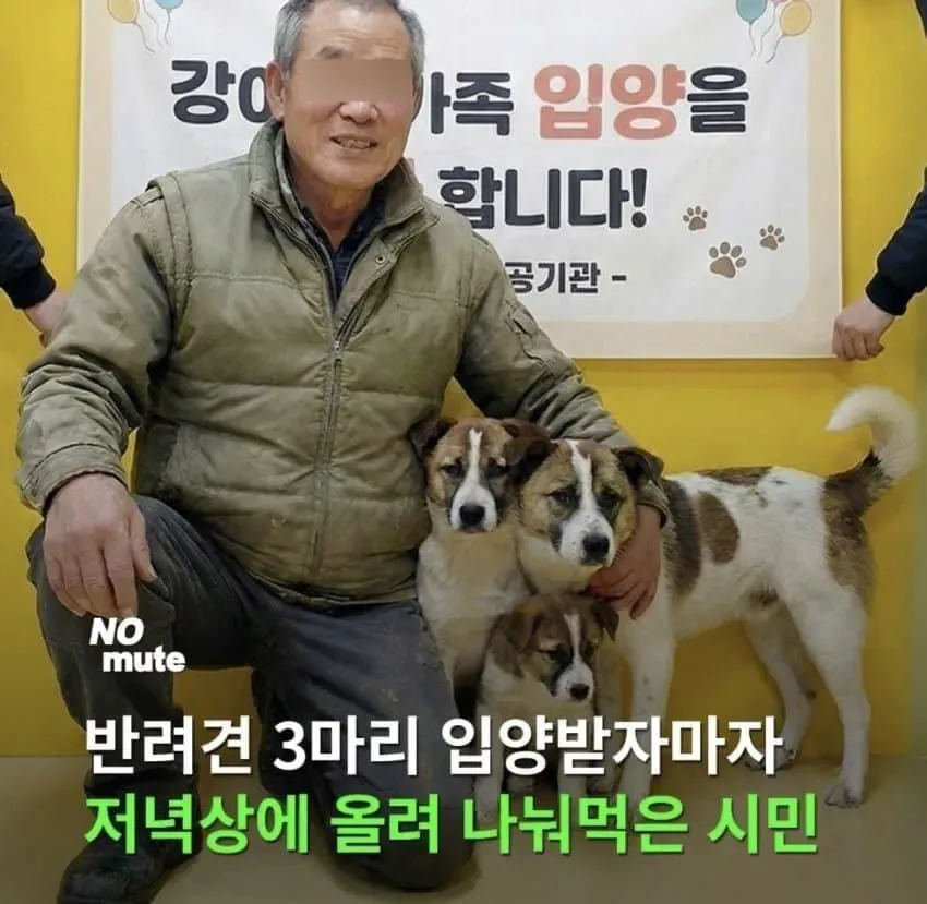 약혐) 반려견 3마리를 분양받았던 70대 노인