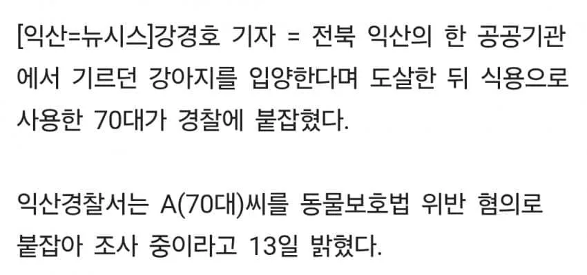 약혐) 반려견 3마리를 분양받았던 70대 노인