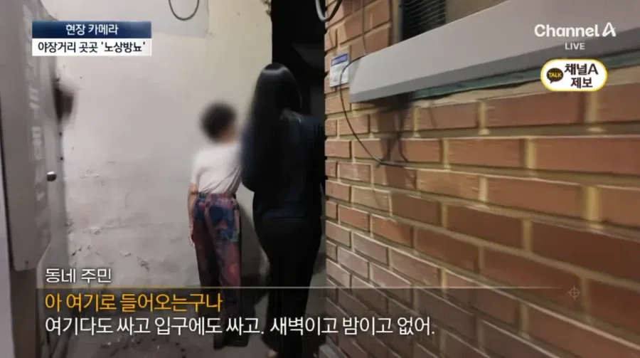 종로 야시장 근황