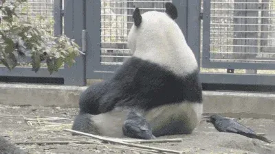 열심히 살자 둥지 재료 모으는 새들처럼...