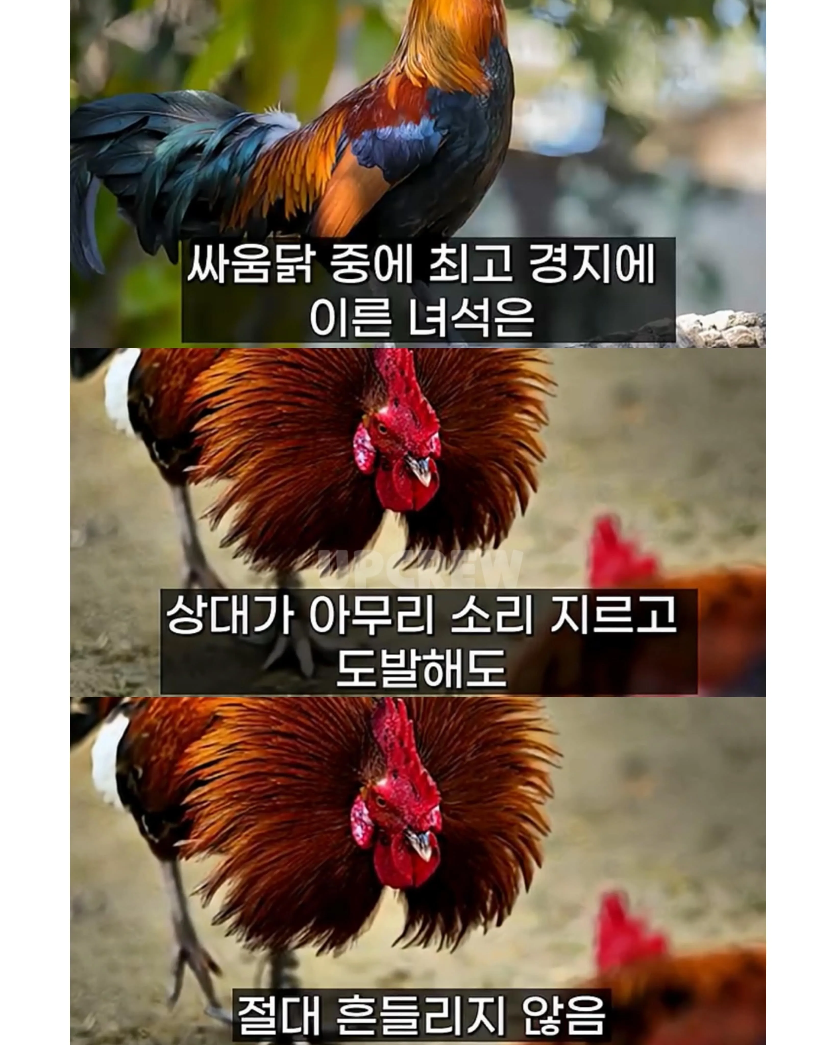 삼성 이재용이 평소에 조용한 이유.jpg