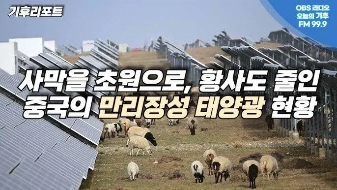 중국이 산에 태양광을 까는 이유