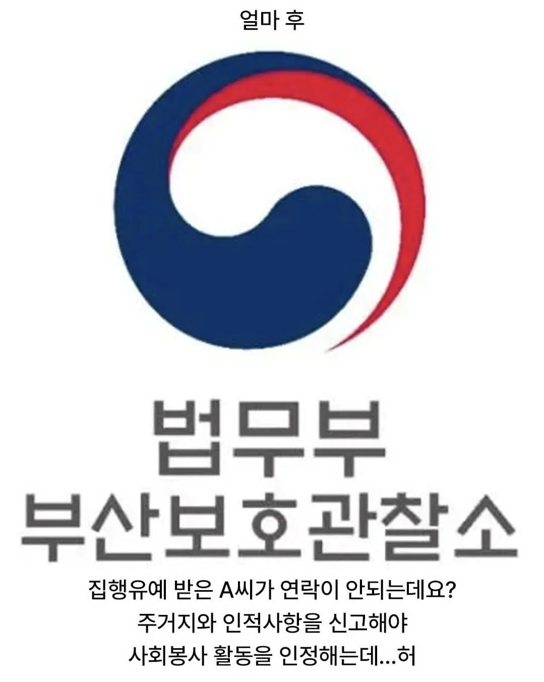 사회봉사 80시간이 귀찮아서...