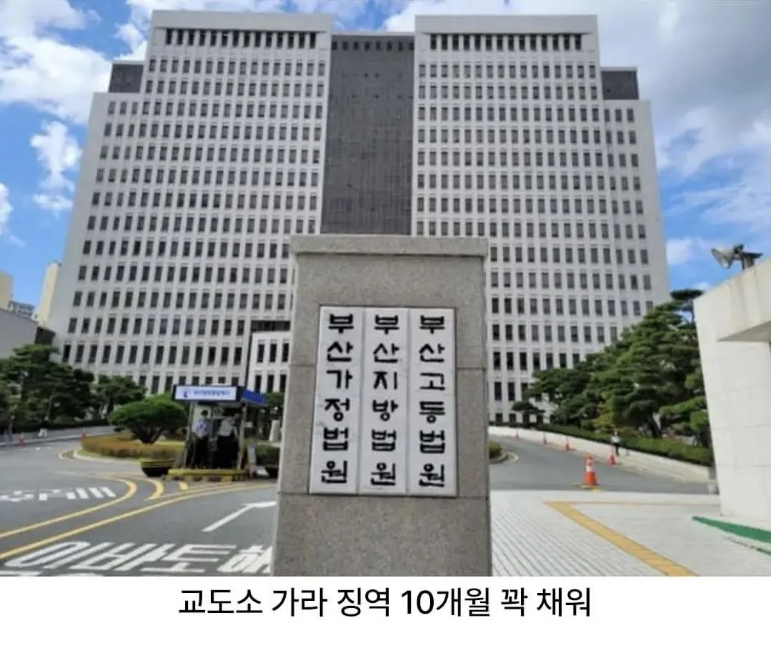 사회봉사 80시간이 귀찮아서...