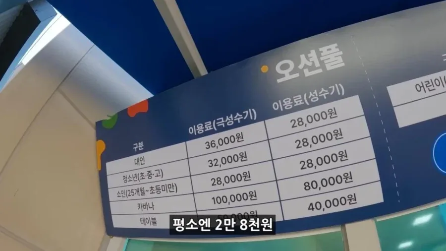 정부 예산 430억으로 새로 만든 워터파크 후기.jpg