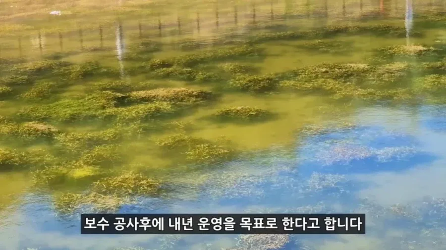 정부 예산 430억으로 새로 만든 워터파크 후기.jpg