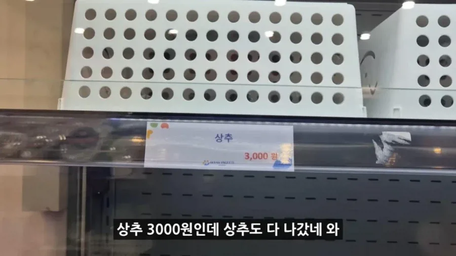 정부 예산 430억으로 새로 만든 워터파크 후기.jpg