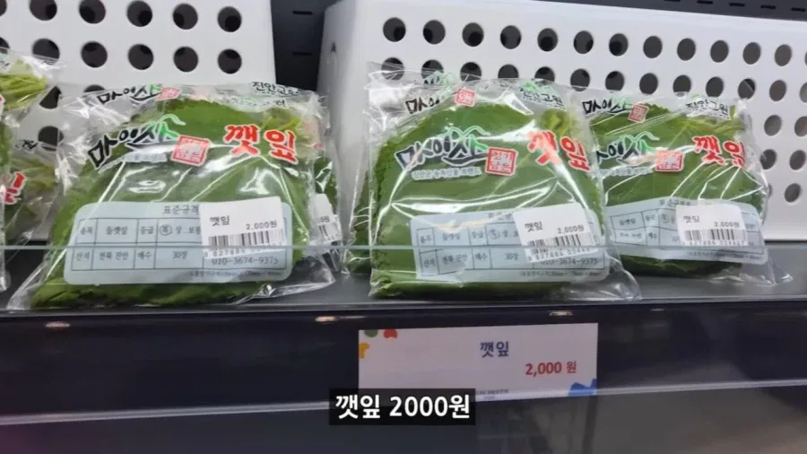 정부 예산 430억으로 새로 만든 워터파크 후기.jpg