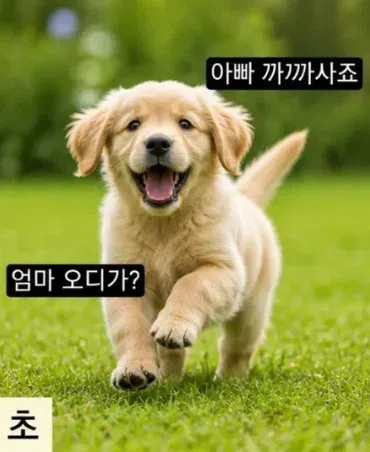 시기 별 부모님이 나를 바라보는 시점