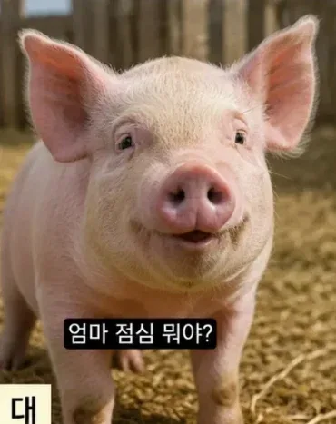 시기 별 부모님이 나를 바라보는 시점