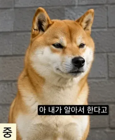시기 별 부모님이 나를 바라보는 시점