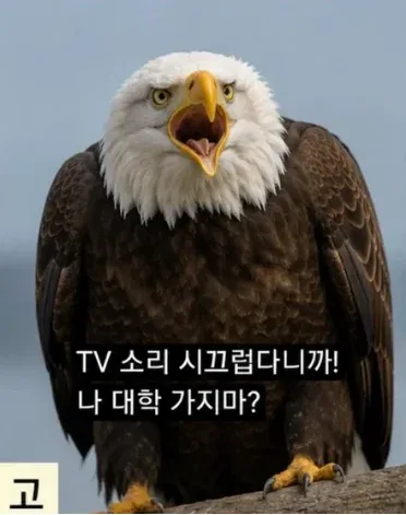 시기 별 부모님이 나를 바라보는 시점