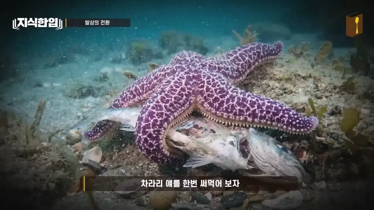 최태원이 미쳐있는 프로젝트.jpg