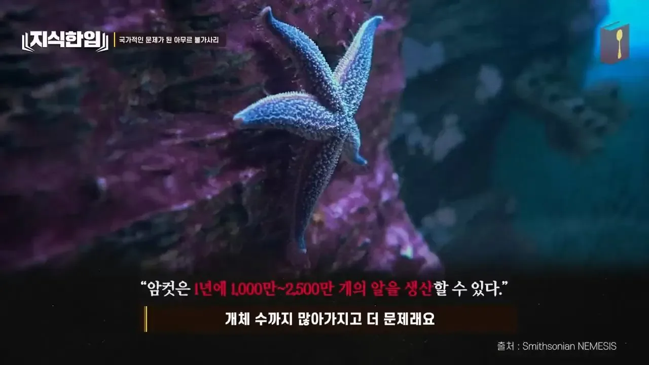 최태원이 미쳐있는 프로젝트.jpg