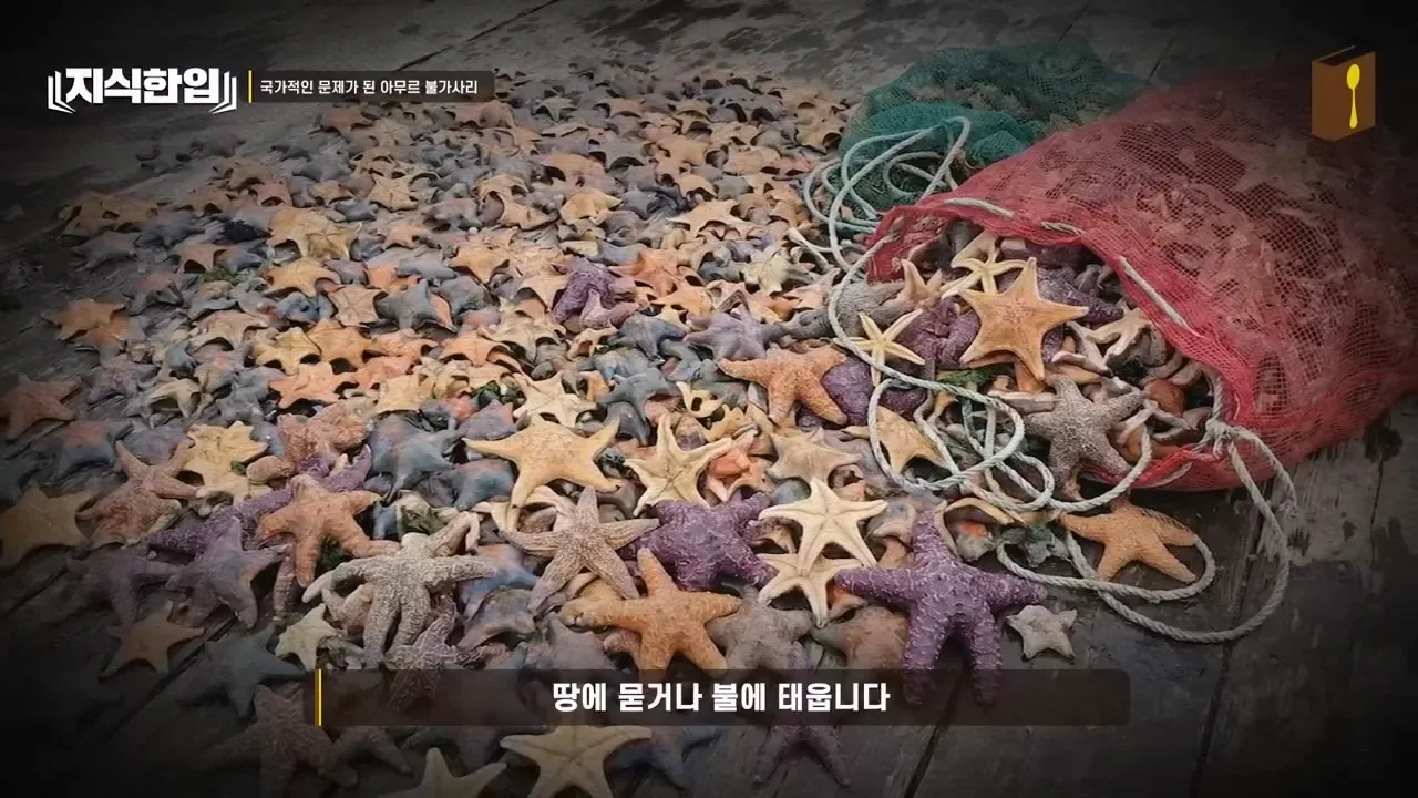 최태원이 미쳐있는 프로젝트.jpg