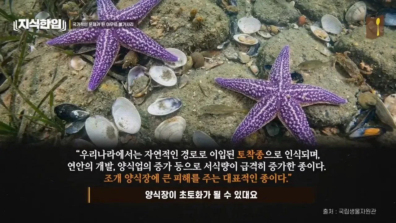 최태원이 미쳐있는 프로젝트.jpg