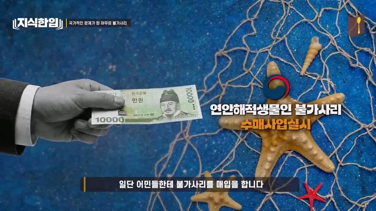 최태원이 미쳐있는 프로젝트.jpg