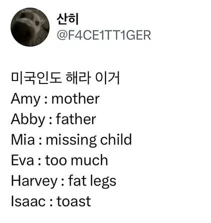 여권 만들 때 쓰면 안 되는 영어 이름.jpg