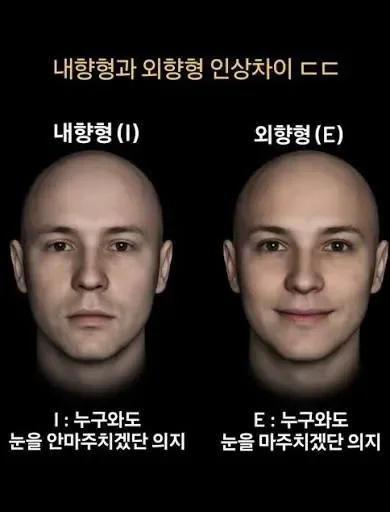 내향인 외향인 인상차이