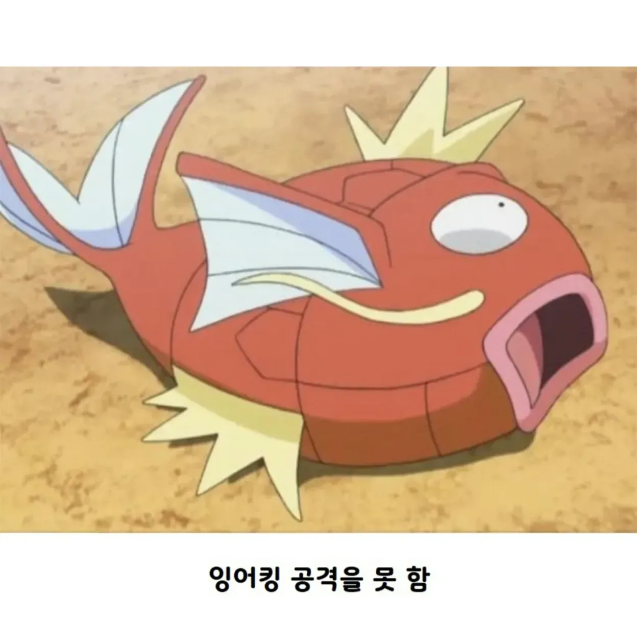 포켓몬 애니 최고의 대결 명장면
