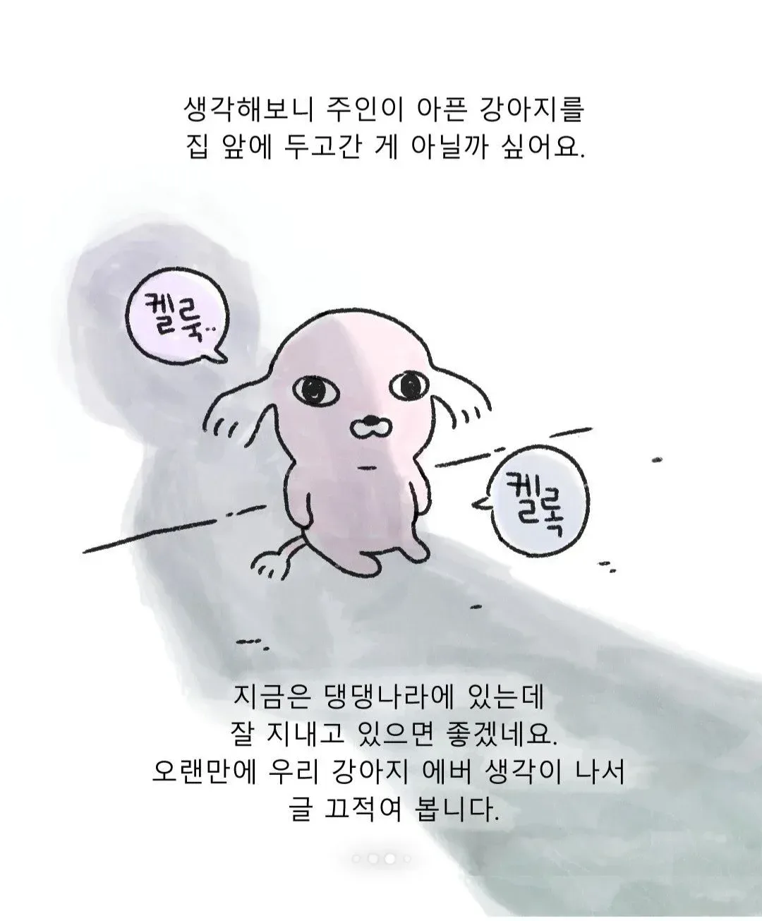 갑자기 찾아온 모르는 강아지