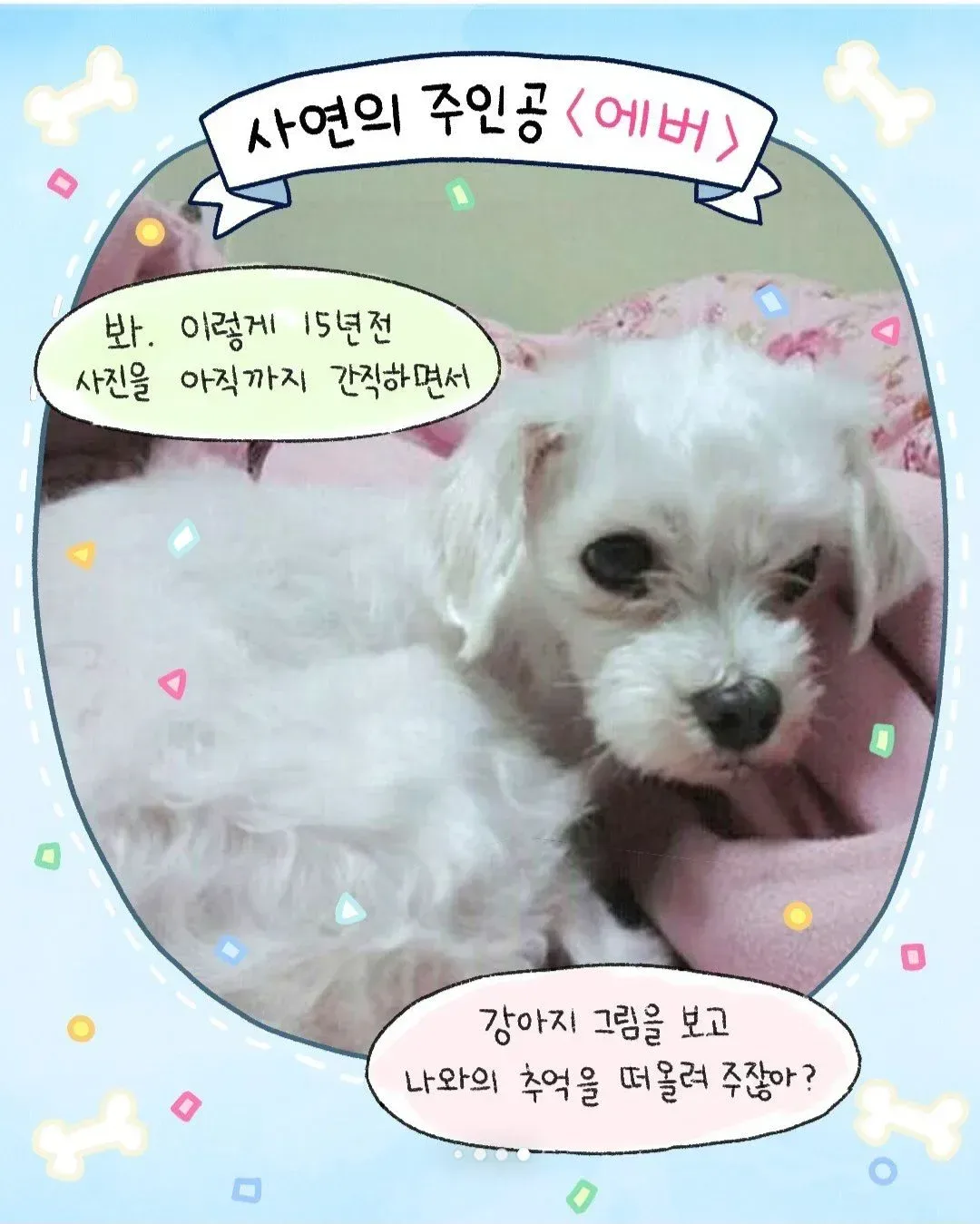 갑자기 찾아온 모르는 강아지