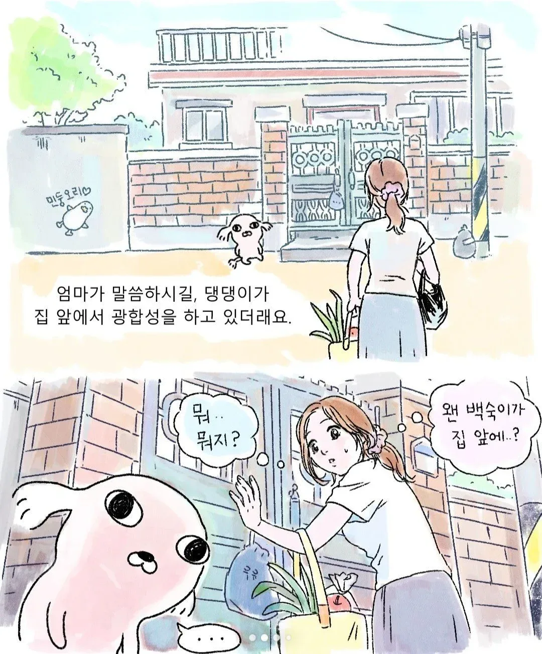 갑자기 찾아온 모르는 강아지