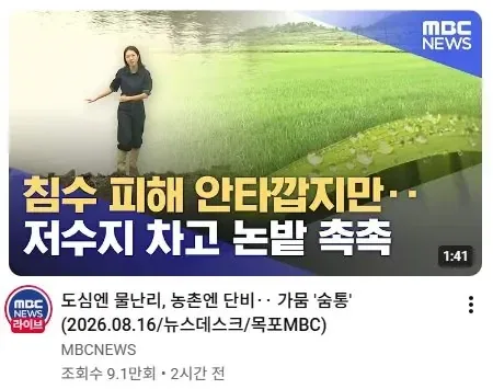<MBC> 침수 피해 안타깝지만 저수지 차고 논밭 촉촉