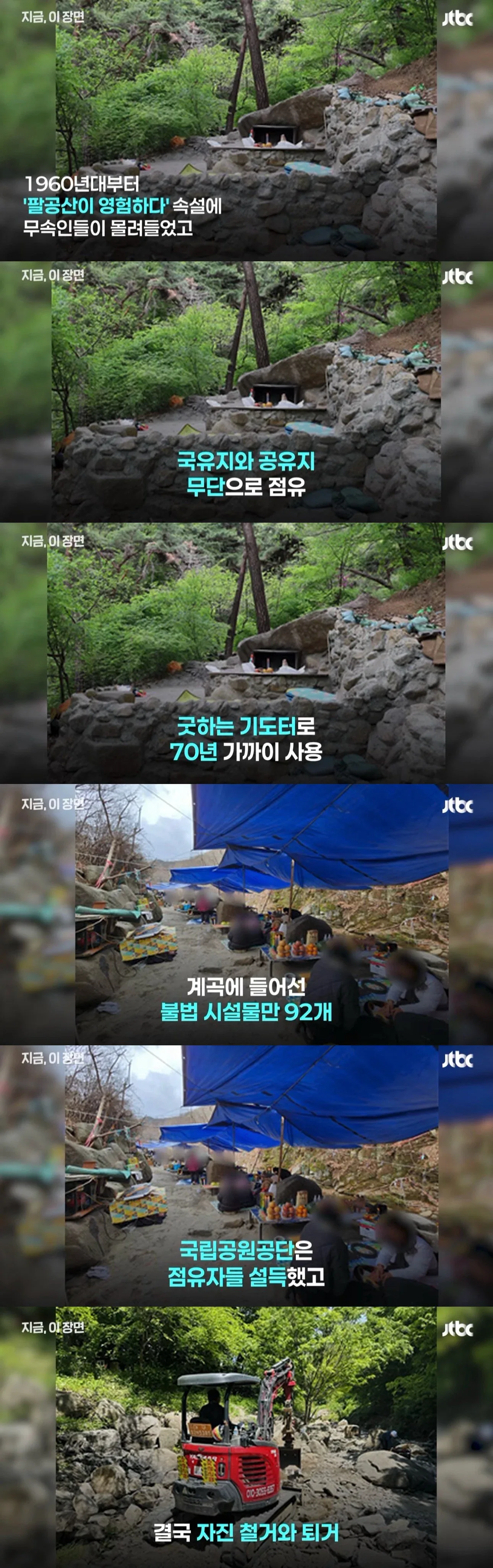 팔공산 70년 기도터 걷어내니…멸종위기 담비가 돌아왔다