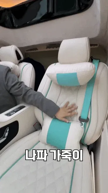 연예인들이 타는 카니발은 무엇이 다른지 알아보자