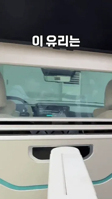 연예인들이 타는 카니발은 무엇이 다른지 알아보자