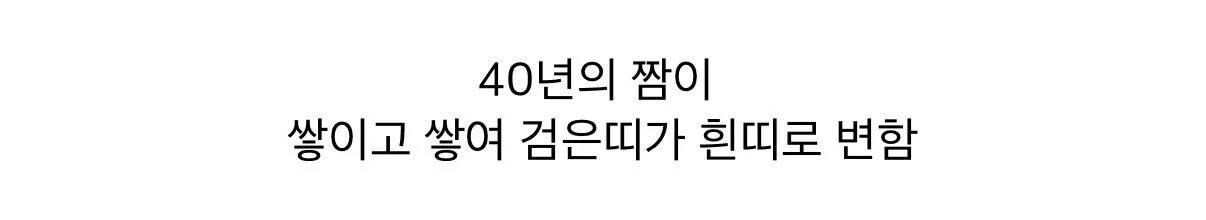 태권도 경력 40년인데 흰띠인 사람