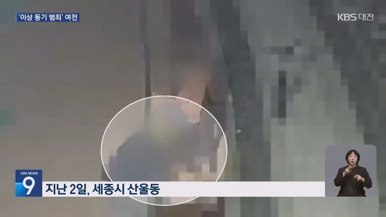 처음본사람 뒤로다가가 목 조르고 도주한 20대