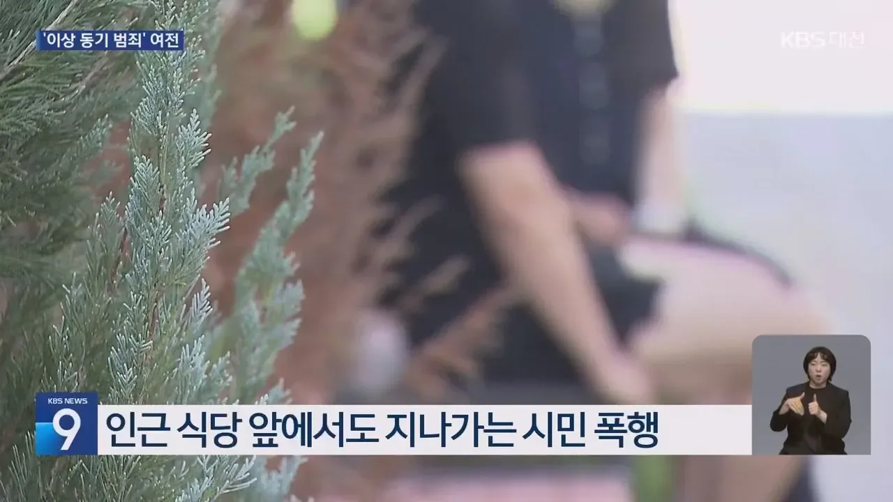 처음본사람 뒤로다가가 목 조르고 도주한 20대