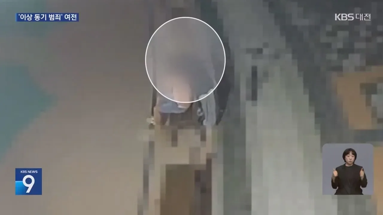 처음본사람 뒤로다가가 목 조르고 도주한 20대