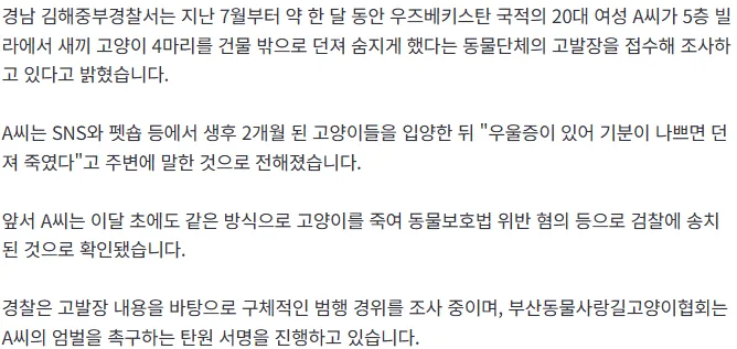[단독] "외국인 여성이 새끼 고양이 4마리 건물 밖으로 던져"...경찰 수사 중