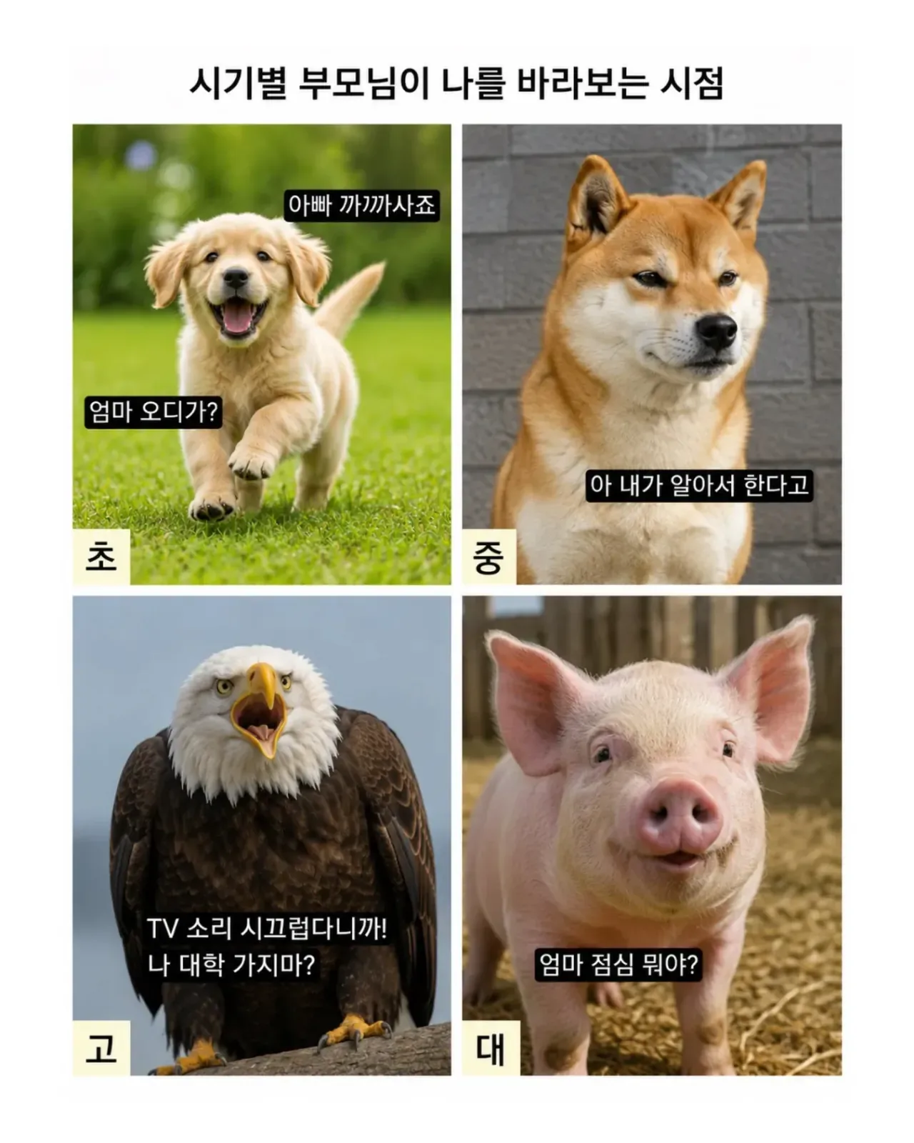 이거 맞음??????