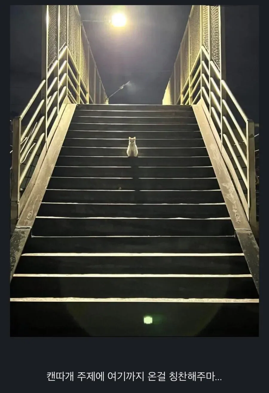 칭찬해주지 여기까지 온걸.jpg