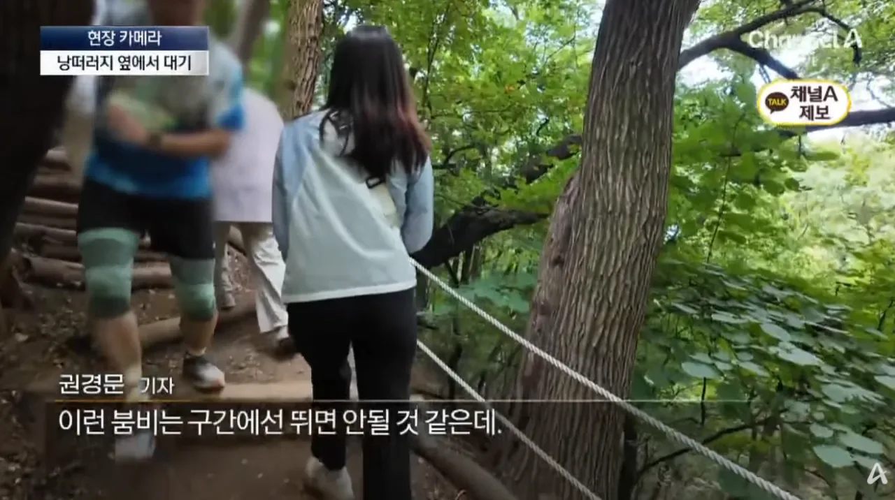 10339468819_486616_ea6724ab1509ac62f358c2f62454f1cd.png.webp