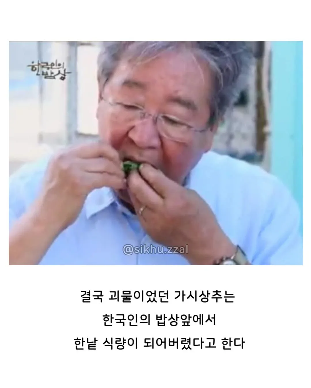 유럽 : 이걸 어떻게 없애지? 한국 : 이걸 어떻게 먹지?   (feat. 가시상추)