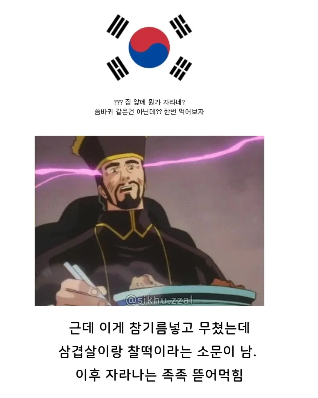 유럽 : 이걸 어떻게 없애지? 한국 : 이걸 어떻게 먹지?   (feat. 가시상추)