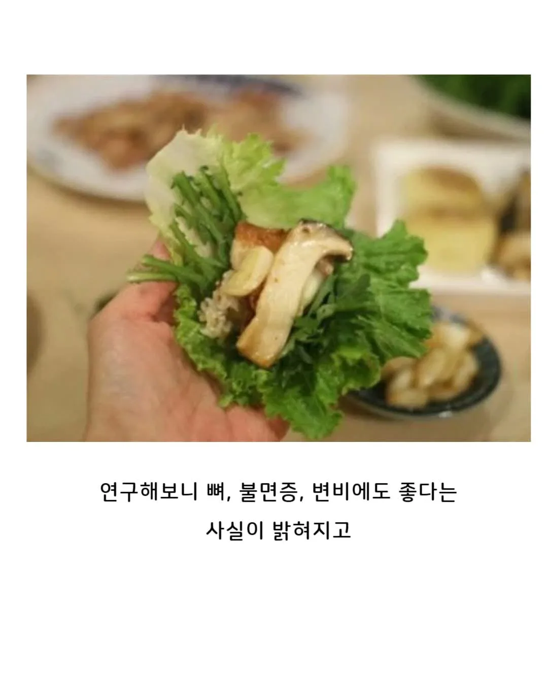 유럽 : 이걸 어떻게 없애지? 한국 : 이걸 어떻게 먹지?   (feat. 가시상추)