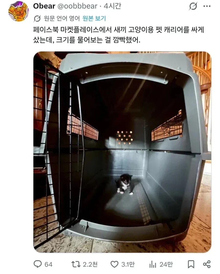 새끼 고양이용 팻 캐리어