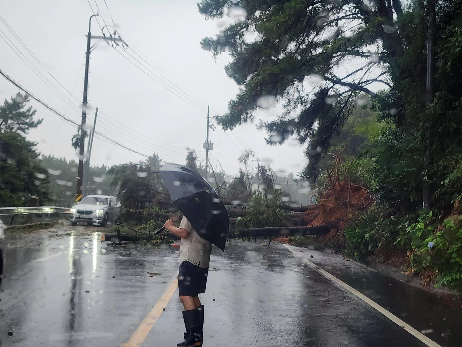 거제 실시간 (침수차)