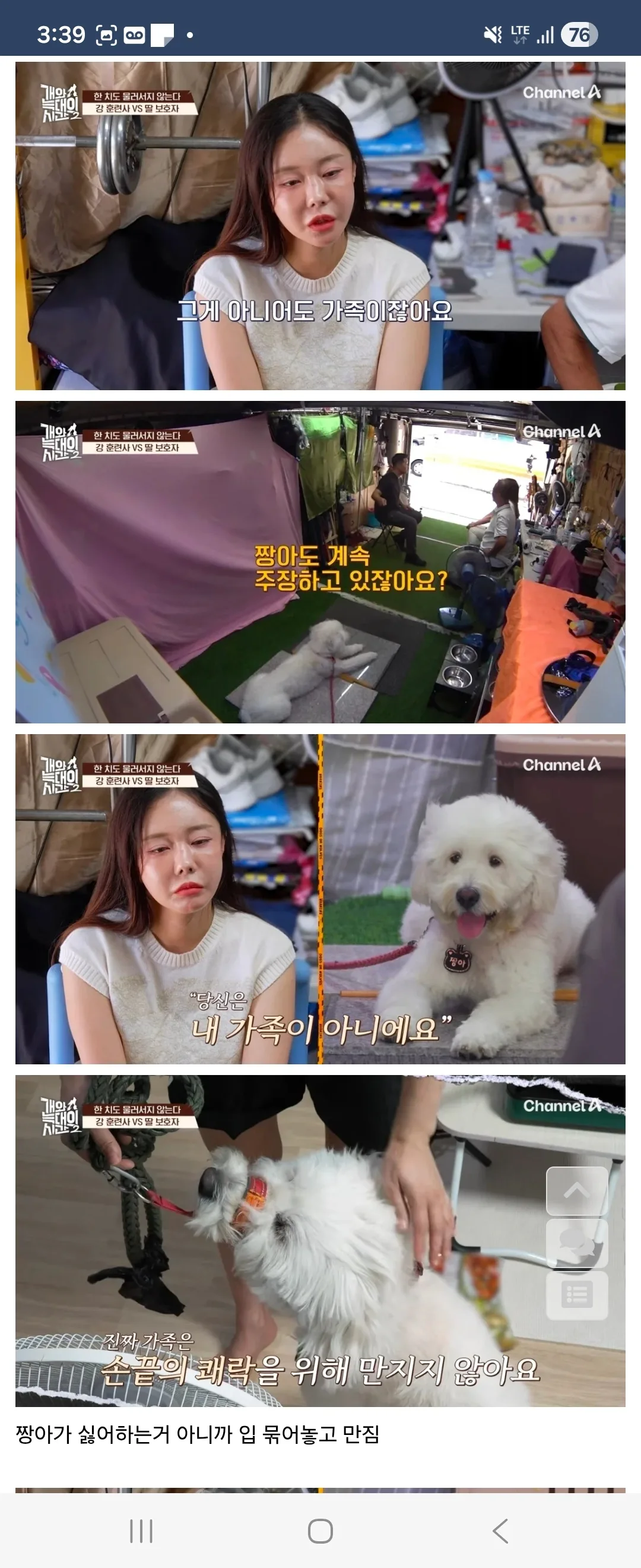 개가 원해요? 개가 원하지 않는다자나요