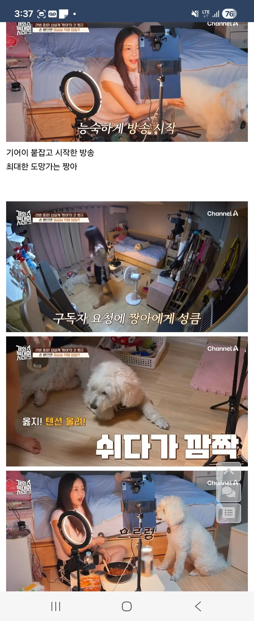 개가 원해요? 개가 원하지 않는다자나요