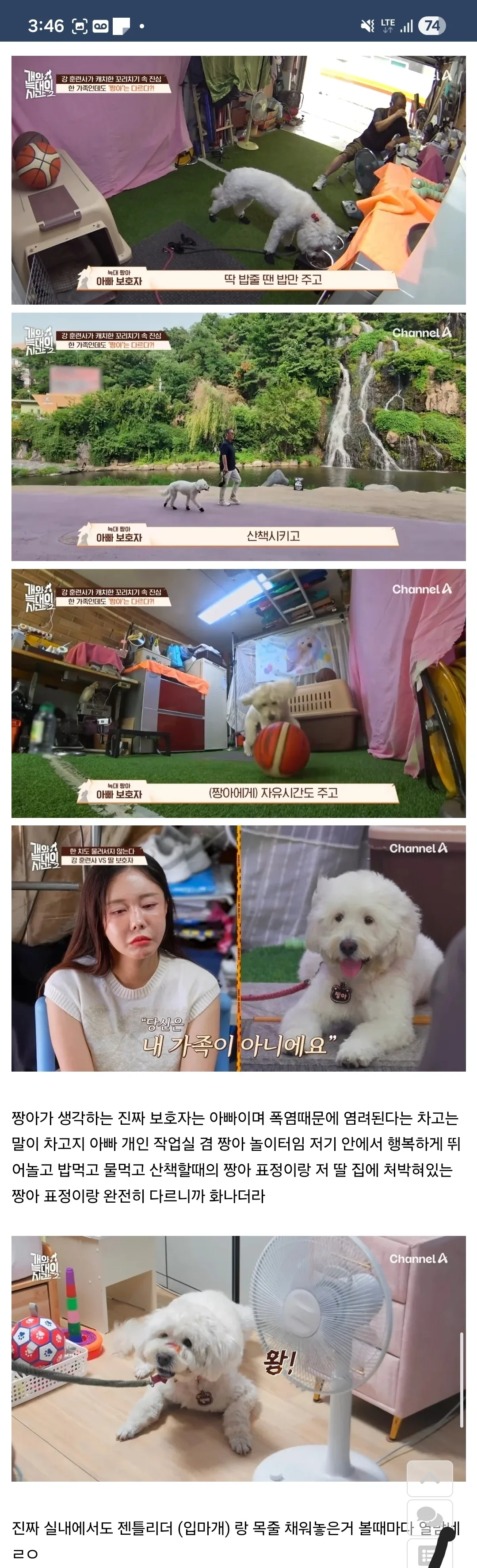 개가 원해요? 개가 원하지 않는다자나요