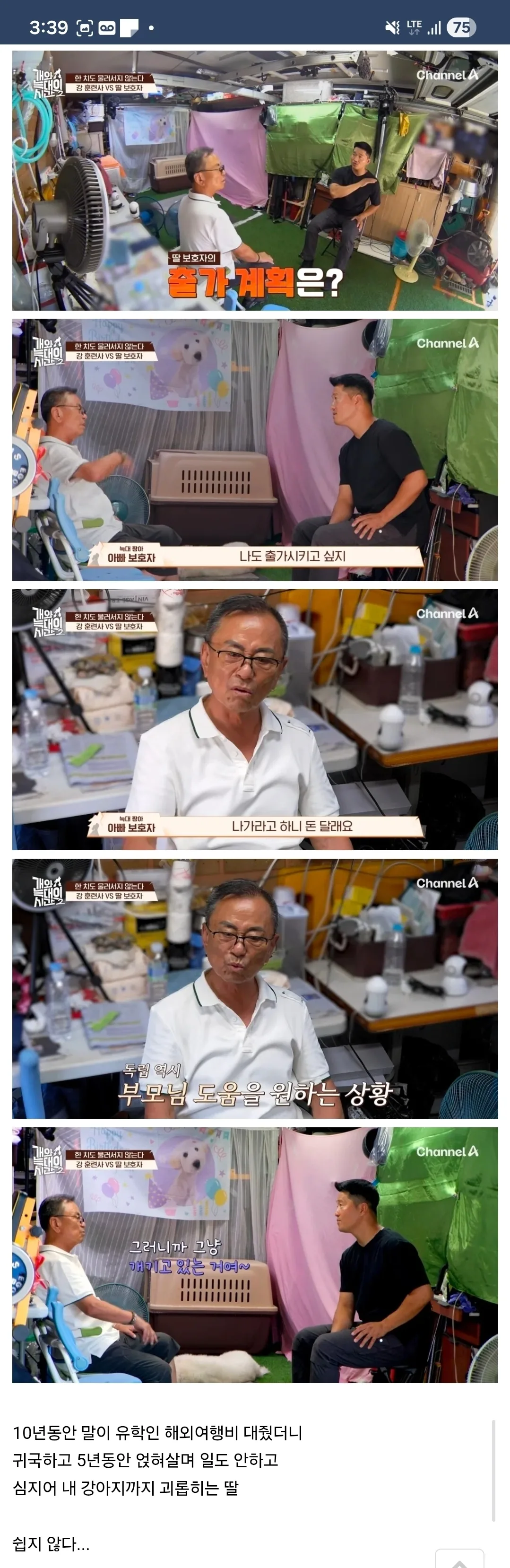 개가 원해요? 개가 원하지 않는다자나요